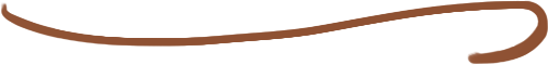 Linienschwung_schmal_braun